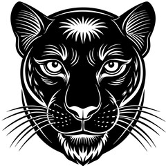 a-black-and-white-panther-animal
