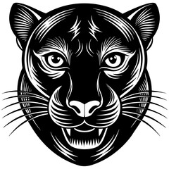 a-black-and-white-panther-animal