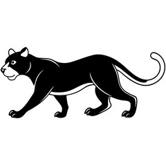 a-black-and-white-panther-animal-running-looking