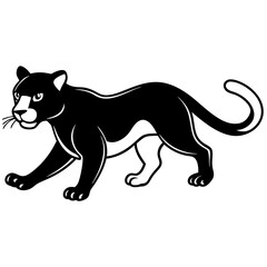 a-black-and-white-panther-animal-running-looking