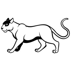 a-black-and-white-panther-animal-running-looking