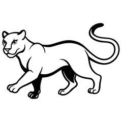 a-black-and-white-panther-animal-running-looking