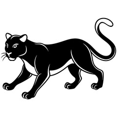 a-black-and-white-panther-animal-running-looking