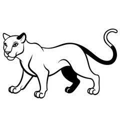 a-black-and-white-panther-animal-running-looking