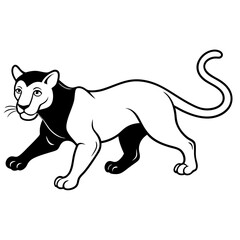 a-black-and-white-panther-animal-running-looking