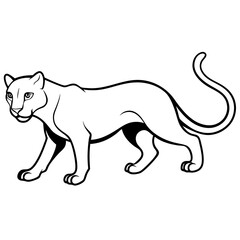 a-black-and-white-panther-animal-running-looking