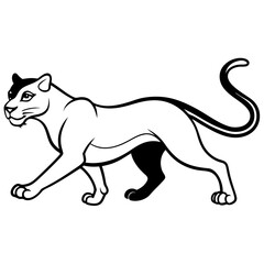 Obraz premium a-black-and-white-panther-animal-running-looking