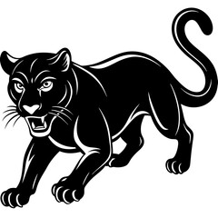 a-black-and-white-panther-animal-running-looking