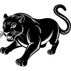 a-black-and-white-panther-animal-running-looking