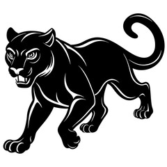 a-black-and-white-panther-animal-running-looking
