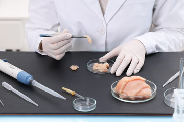 Quality control. Food inspector examining meat in laboratory, closeup