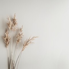 Obraz premium Dry pampas grass on neutral minimal background with copy space