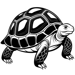 solid-black-outline-galapagos-tortoise-animal-vect 