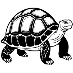 solid-black-outline-galapagos-tortoise-animal-vect 