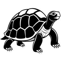 solid-black-outline-galapagos-tortoise-animal-vect 