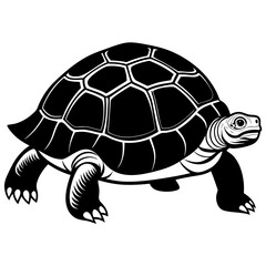 solid-black-outline-galapagos-tortoise-animal-vect 