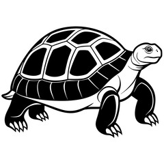 solid-black-outline-galapagos-tortoise-animal-vect 