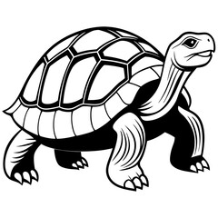 solid-black-outline-galapagos-tortoise-animal-vect 