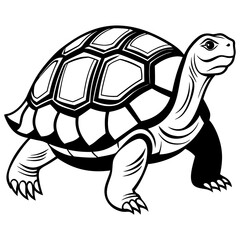 solid-black-outline-galapagos-tortoise-animal-vect 