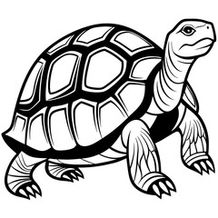solid-black-outline-galapagos-tortoise-animal-vect 