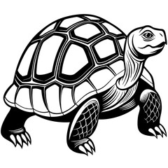 solid-black-outline-galapagos-tortoise-animal-vect 
