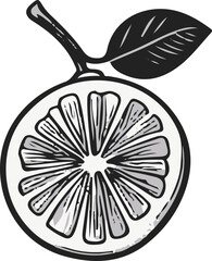 연필 스케치 오렌지 단면 