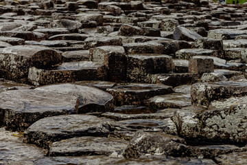 Hexagonal shapes of rocks, Giants Causeway, County Antrim, Northern Ireland, UK