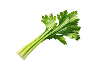 a green celery stalk with leaves