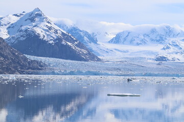 Landscape scenes from a glacier in Alaska. Frozen, Icy Nature at its best. Glacier view on a  beautiful day.