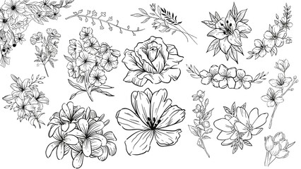 Fototapeta premium Line Flower Hand Drawn Illustration