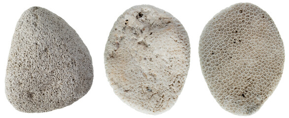 3 White Stones. White Oblong Porous Pebbles and Mineral Rocks. No Background. 3 Pieces of Pumice Stones.