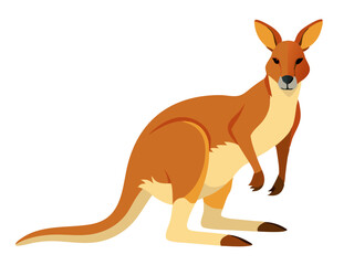 Kangaroo vector illustration, cute animal vector illustration, Kangaroo illustration vector, cute Kangaroo cartoon illustration