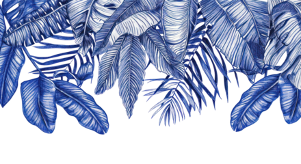 PNG Drawing nature sketch plant.