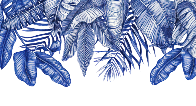 PNG Drawing nature sketch plant.