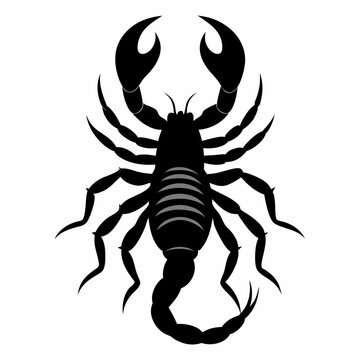 recommend clip art: scorpion silhouette vector  illustration