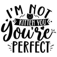 i'm not kitten you you are perfect