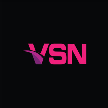 VSN Letter Initial Logo Design Template Vector Illustration