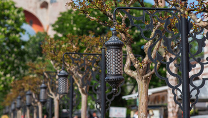 Elegant street lamps and flourishing spring foliage line a street, with the blurred historic dome...