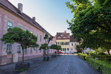 Cozy street with a lot of green trees and paved road in the middle of street in Sibiu, Romania