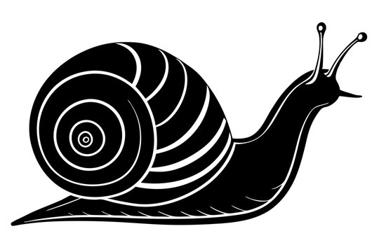 recommend clip art: snail line art vector illustration