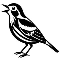 illustration of a bird
