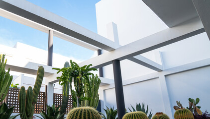variety of cacti and succulents in modern, square black planters, set against a bed of white pebbles. The architectural elements with clean lines create a contemporary and tranquil garden setting.
