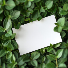 Naklejka premium A white card with a green leaf pattern background in a flat lay, top view with a minimalist style. Copy space available for text and company logo.