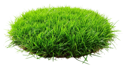 PNG The lawn was cut into a circle grass plant white background.