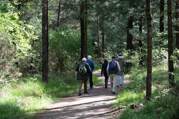 Groupe de randonneurs seniors en Bretagne