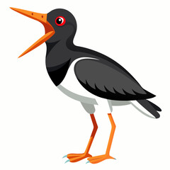 Canarian Oystercatcher bird screams icon vector