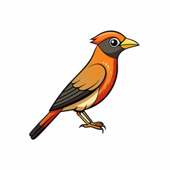 Bushshrike bird stands icon vector  illustration