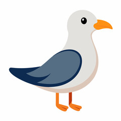 cute bird of Gull bird vector illustration,