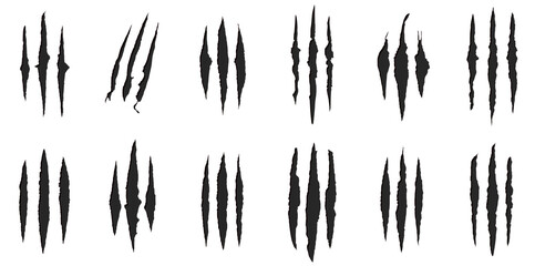 Silhouette of various claw marks. set 01