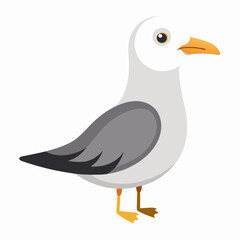 cute bird of Gull bird vector illustration,